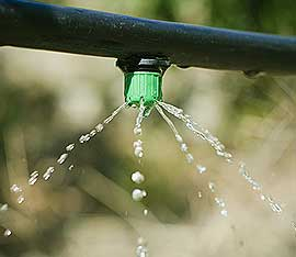 San Antonio Drip Irrigation Sprinkler System
